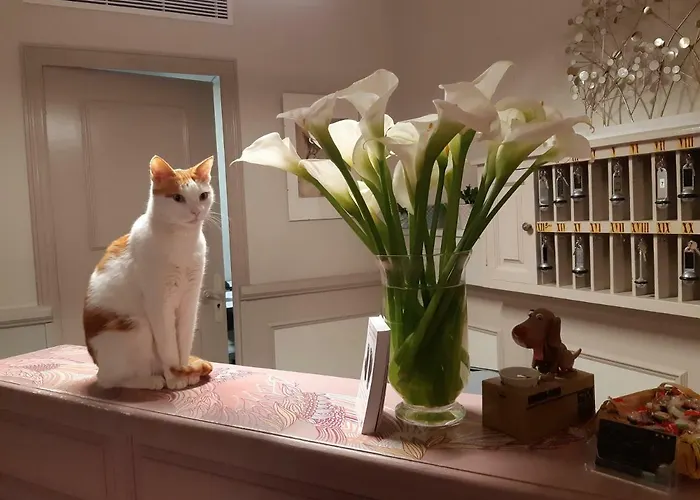 Du Palais Hotel Montpellier